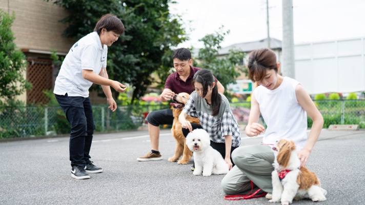 犬のしつけ相談