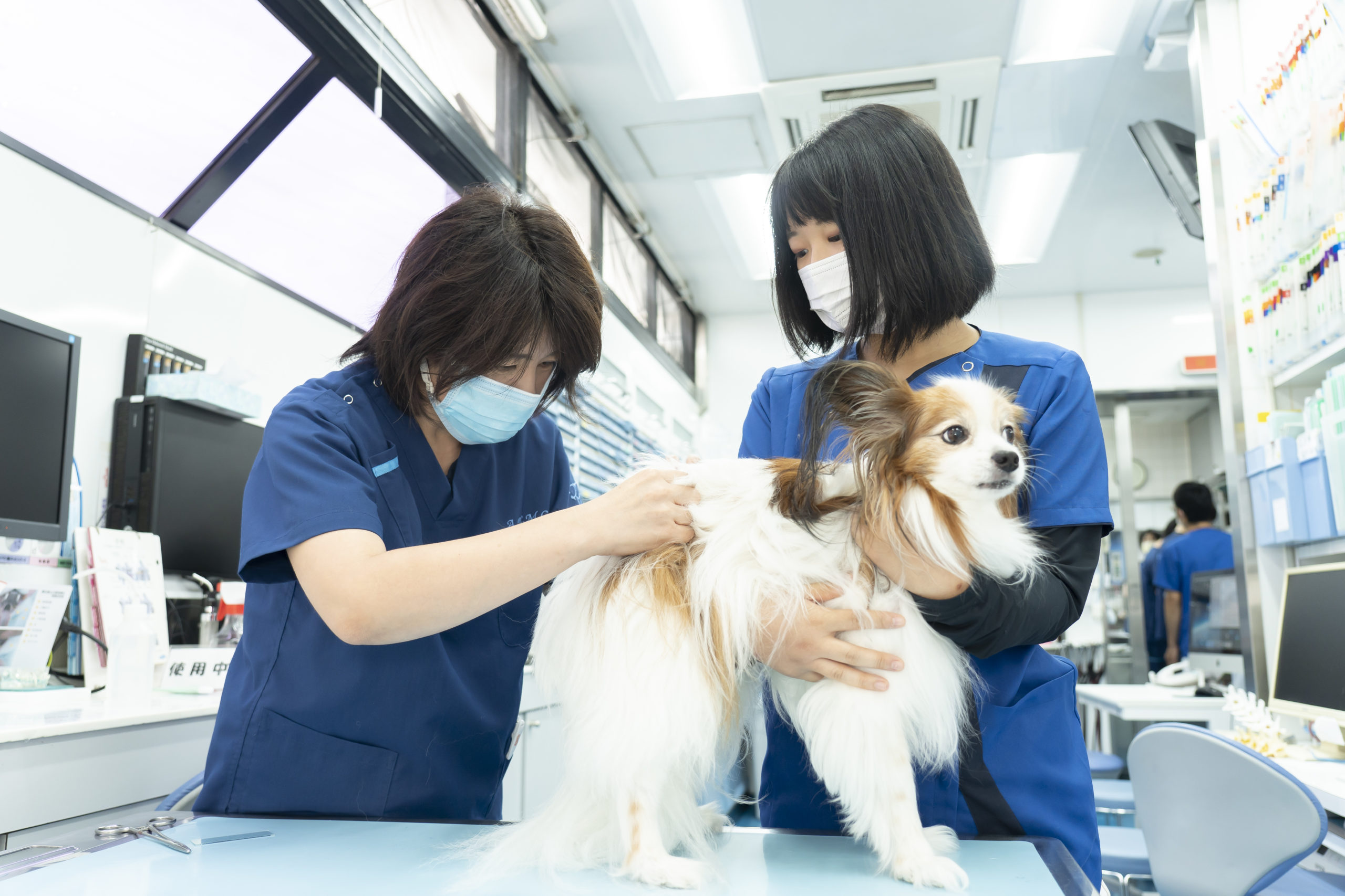 予防医療について